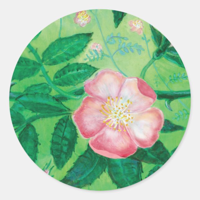 Pegatina Redonda Ilustracion Rosa salvaje rosado (Anverso)