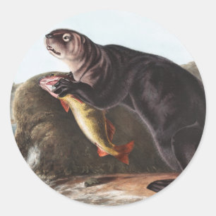 Pegatina Redonda Ilustracion Sea Otter (Enhydra marina)