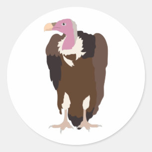 Pegatina Redonda Ilustracion Vulture Bird