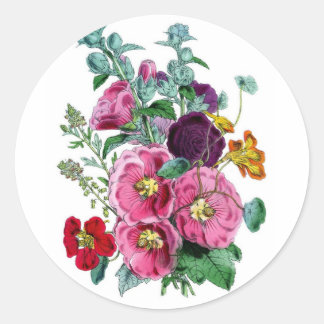 Pegatina Redonda Ilustraciones botánicos de época Hollyhocks