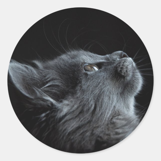 Pegatina Redonda imagem que combina com qualquer escolha de colagem (Anverso)