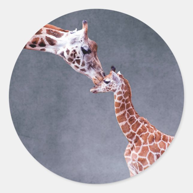 Pegatina Redonda Imágenes de Getty | Madre y bebé Giraffe (Anverso)