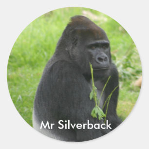 Pegatina Redonda IMG_8810, Sr. Silverback