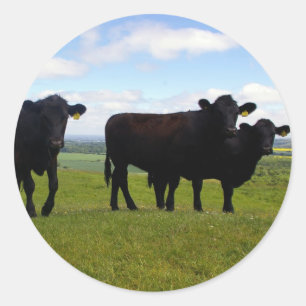 Pegatina Redonda Impaciencia