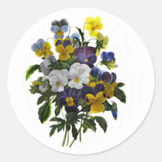 Pegatina Redonda Impresión botánica de Pansy de época