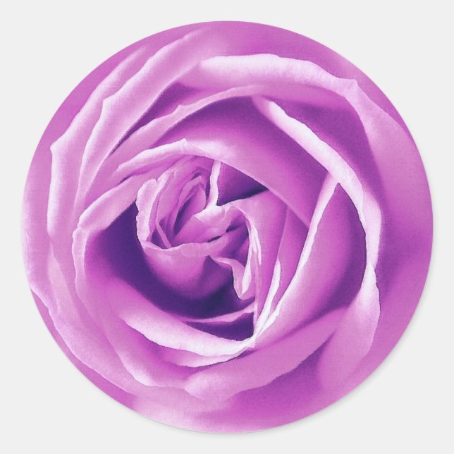 Pegatina Redonda Impresión de rosa de lavanda (Anverso)