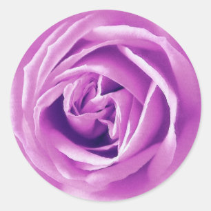 Pegatina Redonda Impresión de rosa de lavanda