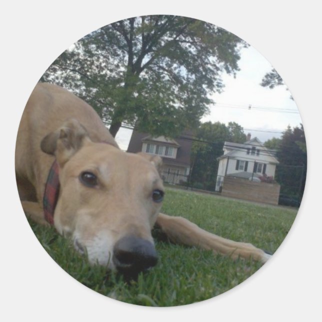 Pegatina Redonda indefinido (Anverso)