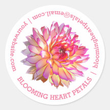 Información de contacto de Dahlia, gigante rosa pá