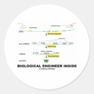 Pegatina Redonda Ingeniero biológico interno