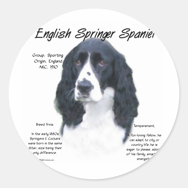 Pegatina Redonda Inglés Springer Spaniel (blk) Diseño de historia (Anverso)