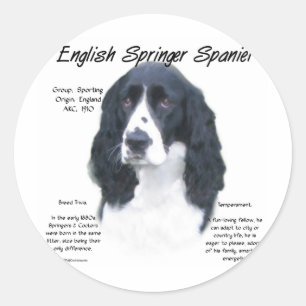 Pegatina Redonda Inglés Springer Spaniel (blk) Diseño de historia