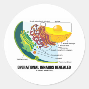 Pegatina Redonda Innards Operacionales Reveladas (Biología Celular)