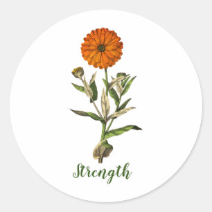 Pegatina Redonda Inspiradora fuerza de Marigold
