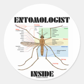 Pegatina Redonda Interior del entomólogo (anatomía del mosquito)