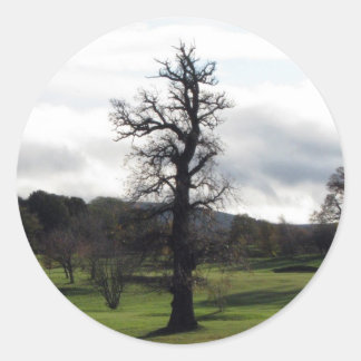 Pegatina Redonda Invierno