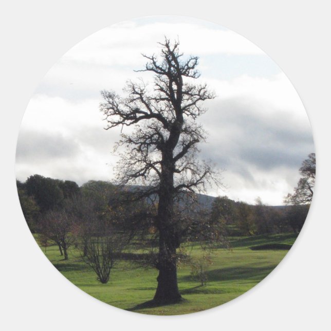 Pegatina Redonda Invierno (Anverso)