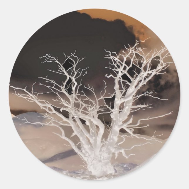 PEGATINA REDONDA INVIERNO DE MONTAÑA (Anverso)