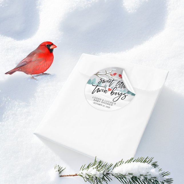 Pegatina Redonda Invierno moderno Baby Shower Sweet Little Twin Boy (Subido por el creador)