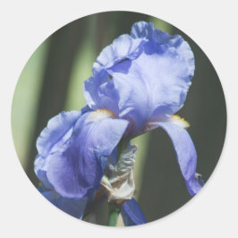 Pegatina Redonda iris