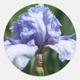 Pegatina Redonda Iris-azul