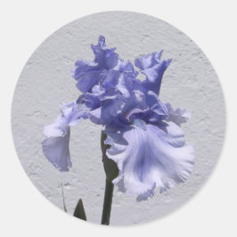 Pegatina Redonda Iris Bloom