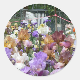 Pegatina Redonda Iris Garden
