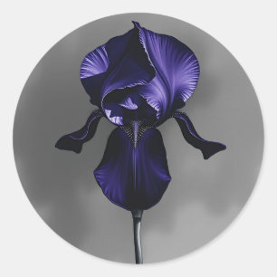 Pegatina Redonda Iris Oscuro Elegante Con Gris Humeante