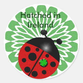 Pegatina Redonda Irlandés Ladybug