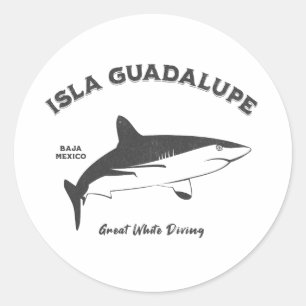 Pegatina Redonda Isla Guadalupe Gran Buceo de tiburón blanco