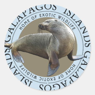 Pegatina Redonda Islas Galápagos Separa leones marinos