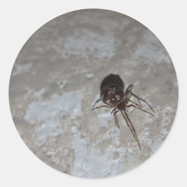 Pegatina Redonda Itsy Bitsy Spider #3 (Anverso)
