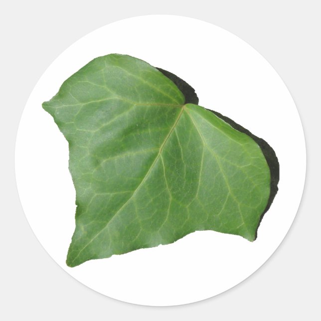 Pegatina Redonda Ivy Leaf (Anverso)