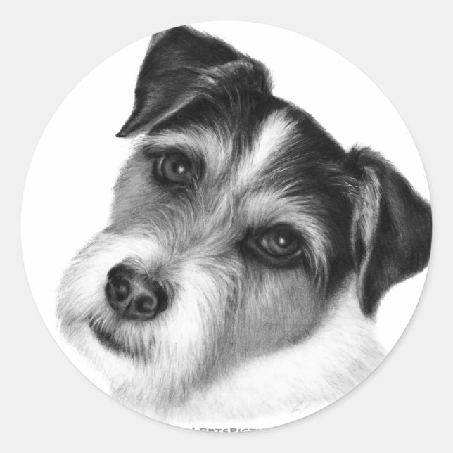 Pegatina Redonda Jack (Parson) Russell Terrier (Anverso)