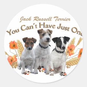 Pegatina Redonda Jack Russell no puedes tener un solo regalo