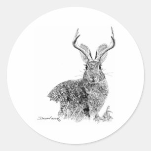Pegatina Redonda Jackalope