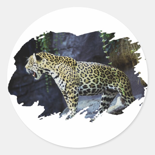 Pegatina Redonda Jaguar (Anverso)