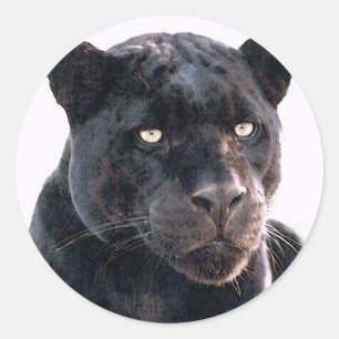 Pegatina Redonda Jaguar negro