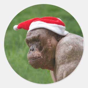 Pegatina Redonda Jambo en un Gorra Navidad
