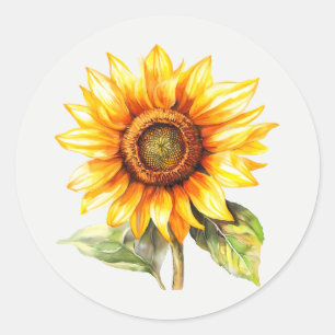 Pegatina Redonda Jardín de girasoles Flor Arte floral