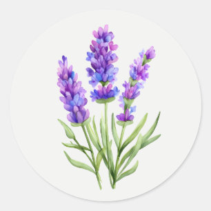 Pegatina Redonda Jardín de lavanda morada arte floral