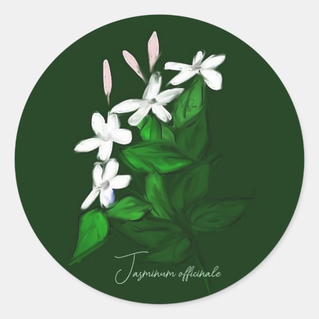Pegatina Redonda Jasmine (Anverso)