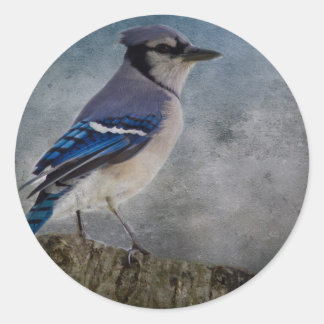 Pegatina Redonda Jay azul
