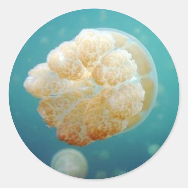 Pegatina Redonda Jelly (Anverso)