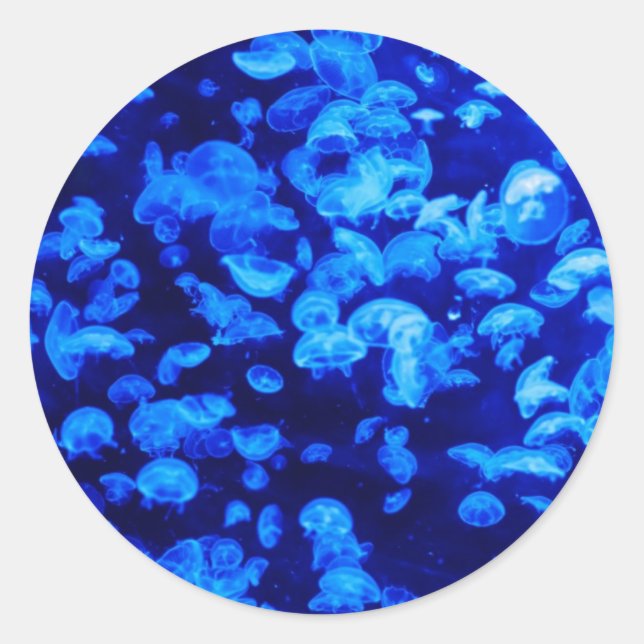 Pegatina Redonda Jellyfish (Anverso)