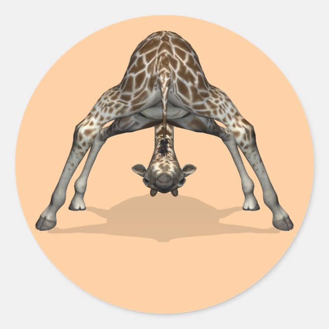 Pegatina Redonda Jirafa Flexible (Anverso)