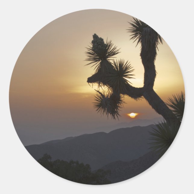Pegatina Redonda Joshua Tree al atardecer (Anverso)