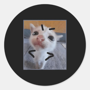 Pegatina Redonda Judgy Kitty Funny Cat Lover Angry Kitten Meme Cute