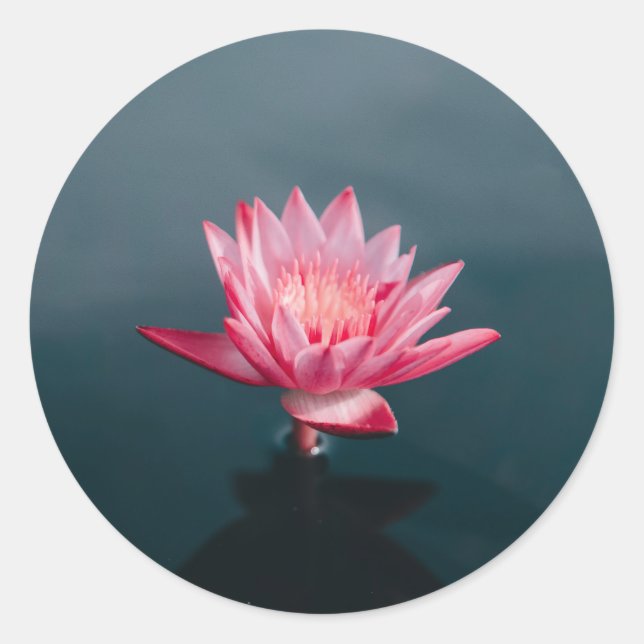 Pegatina Redonda Juego de tarjetas de felicitación de flor rosa (Anverso)