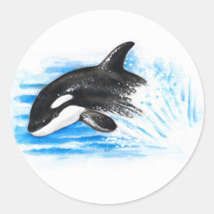 Pegatina Redonda Jugando Orca